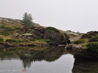 DSC 0356