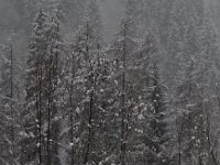 DSC 0565
