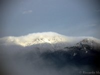 DSC 6207