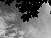 IMG 2045 bn1