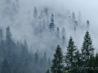 DSC0551