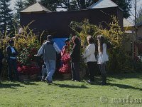 IMG 4493