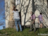 IMG 4976