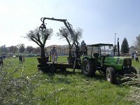 DSF0383  Prove Passione