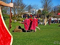 DSC00989